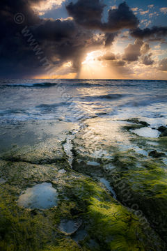 Watermans Sunset