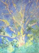 boxted oak