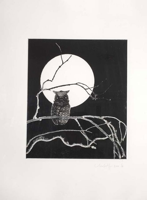 owl in the moonlight