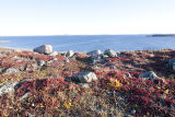 Baker Lake & area view