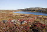 Baker Lake area view