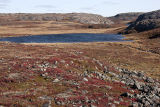 Baker Lake area view