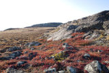 Baker Lake area view
