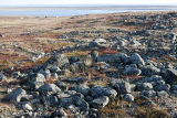 Baker Lake stone circles