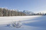 Bow River, near Banff, Alberta