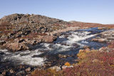 tundra stream