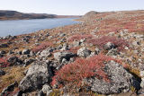 stone circle remnant