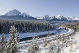 Morant's curve