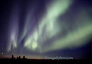 #1762 NL - prairie moonset