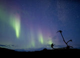 northern lights & caribou rack 