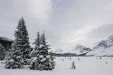 near Bow Lake, Alberta