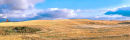 #8454 prairie panoramic