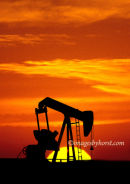 #2483 black gold