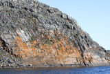 lichen display on bedrock