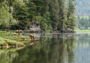 # 3122 nature's Eden