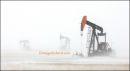 #2659 oil panoramic
