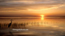 #8425 sunset supper