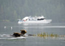 #3004 wildlife viewing - the viewers