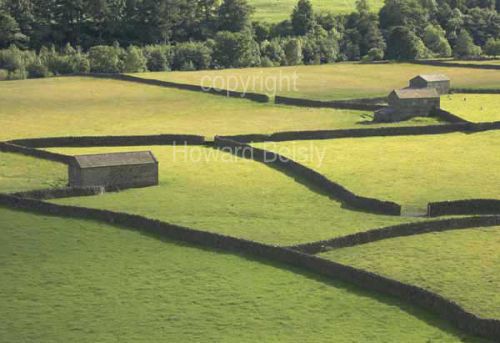Swaledale's walls and barns