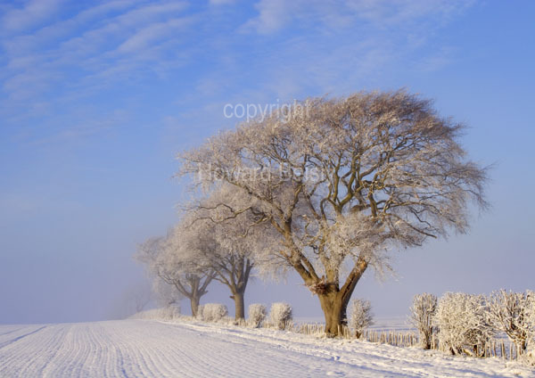 Cold winters day