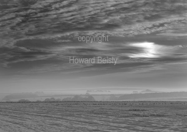 A black and white winters day