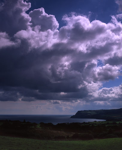 Summer Storm