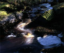 Moors Stream