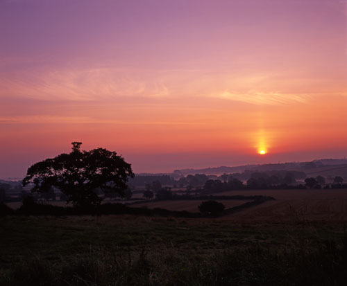Misty Sunrise
