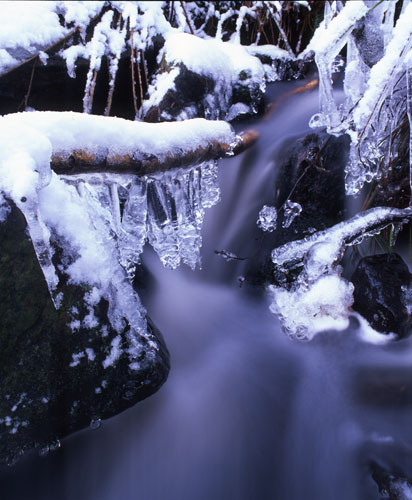 Black Beck Ice