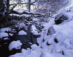 Winter Stream, Danby, North York Moors