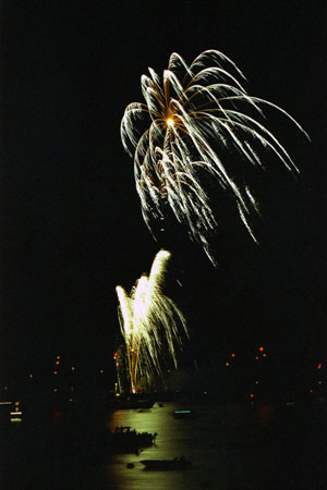Fireworks (1)