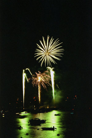 Fireworks (2)