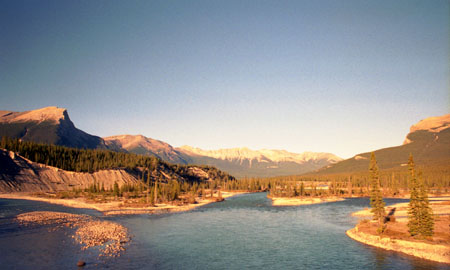 River and wilderness