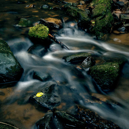 Autumn stream
