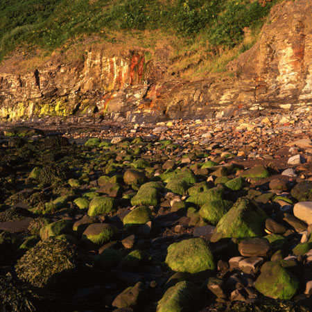Green rocks