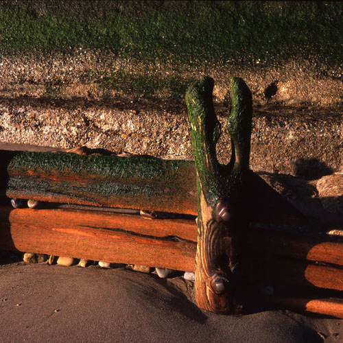 Groyne