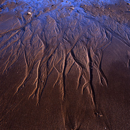 Sand Patterns