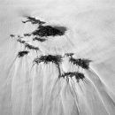 Seaweed and sand patterns