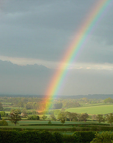 Spring rainbow