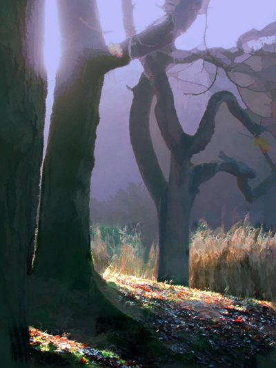 A Clearing Mist at Cannop Ponds
