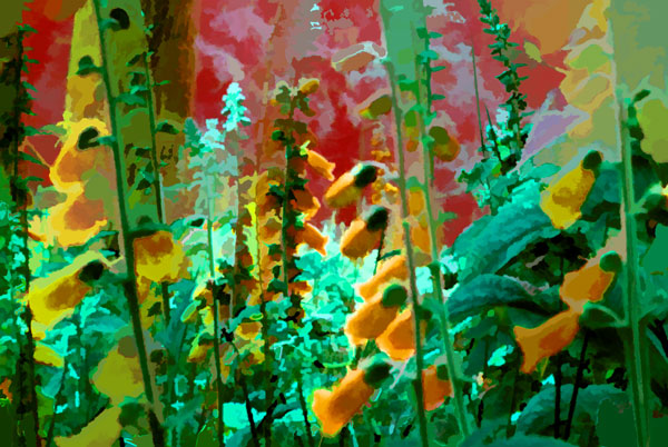 W Flurry of Foxgloves