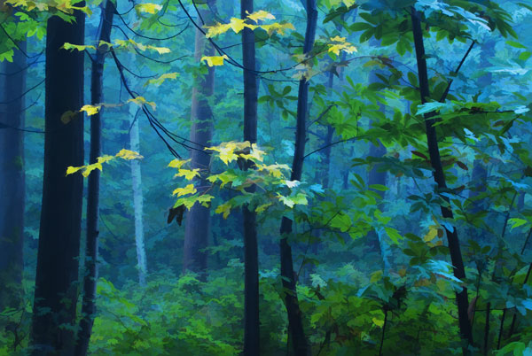 W Leaves-imprinted-on-an-Azure Screen. 6 of 10 sold