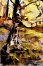 FoD_ITF_Forest_Eyes_limited Edition 2011