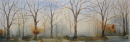 An Ethereal Feel 1