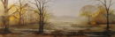 Light on Coniston Water
