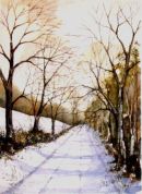 Winter Trail