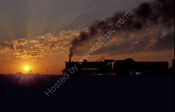 19D 2698 in late evening silhouette naer La Roux South Africa.