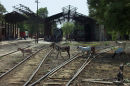 Mirpur Khas shed.