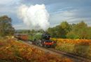 Having passed West Midland Safari and Leisure Park, Green Arrow approaches the tunnel.