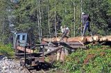 Loading the logs by hand.